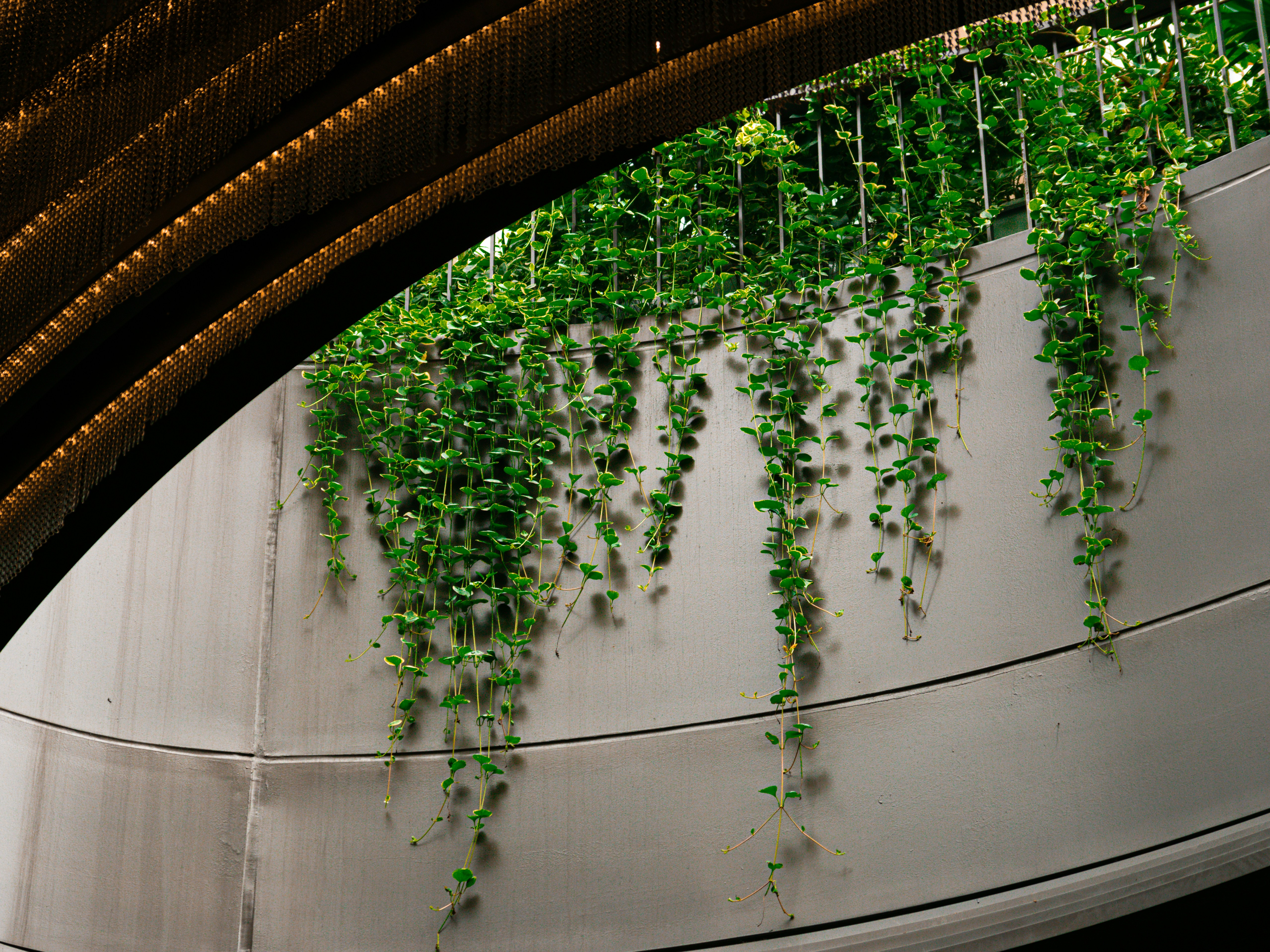 \declan-sun-1T-Ya9CBdMQ-unsplash