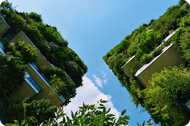 Immeubles verts  écologique toit et verdure